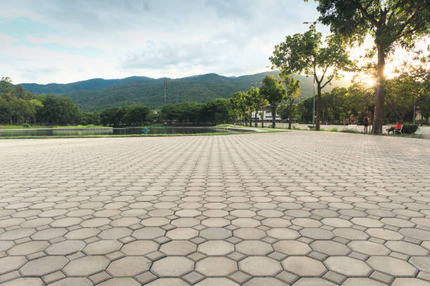 Best Concrete Paver Driveway  in Dolan Springs, AZ