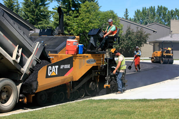 Best Driveway Paving Contractor  in Dolan Springs, AZ